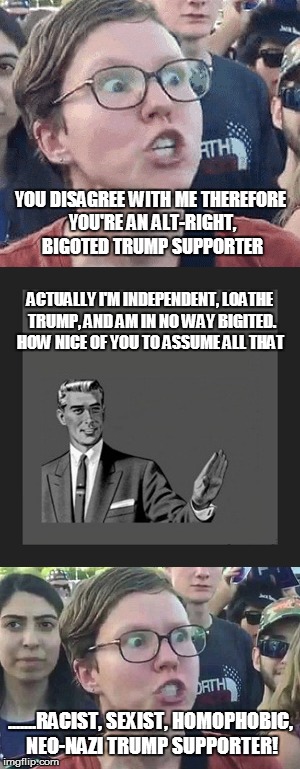 YOU DISAGREE WITH ME THEREFORE YOU'RE AN ALT-RIGHT, BIGOTED TRUMP SUPPORTER; ACTUALLY I'M INDEPENDENT, LOATHE TRUMP, AND AM IN NO WAY BIGITED. HOW NICE OF YOU TO ASSUME ALL THAT; .......RACIST, SEXIST, HOMOPHOBIC, NEO-NAZI TRUMP SUPPORTER! | image tagged in liberal logic | made w/ Imgflip meme maker