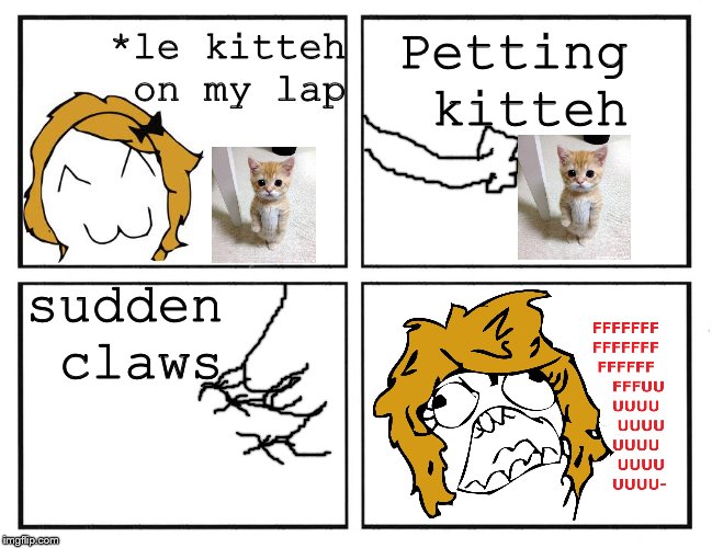 Be careful when you buy a kitten!! | Petting kitteh; *le kitteh on my lap; sudden claws | image tagged in rage comic template,kittens,cats,rage,derpina,awareness | made w/ Imgflip meme maker
