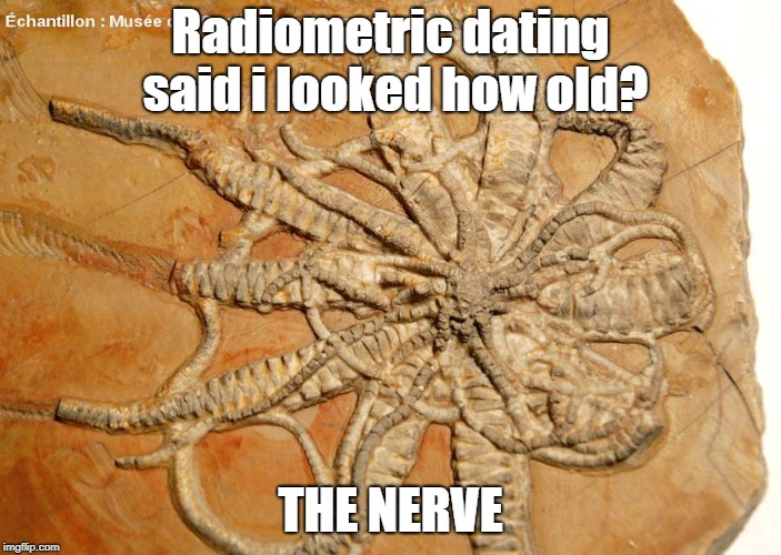 Fossile dead | Radiometric dating said i looked how old? THE NERVE | image tagged in fossile dead | made w/ Imgflip meme maker