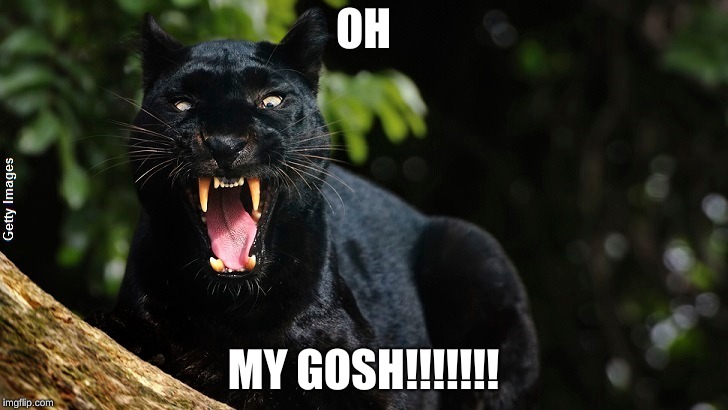 Oh My Gosh | OH; MY GOSH!!!!!!! | image tagged in black panther,kermit the frog | made w/ Imgflip meme maker