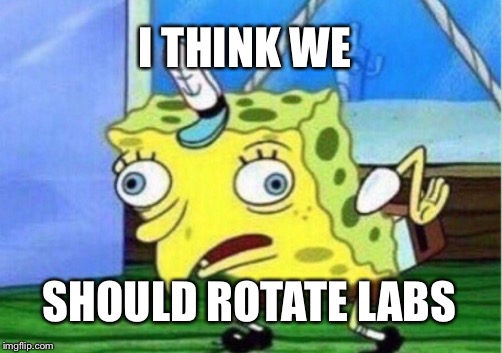 Mocking Spongebob | I THINK WE; SHOULD ROTATE LABS | image tagged in memes,mocking spongebob | made w/ Imgflip meme maker