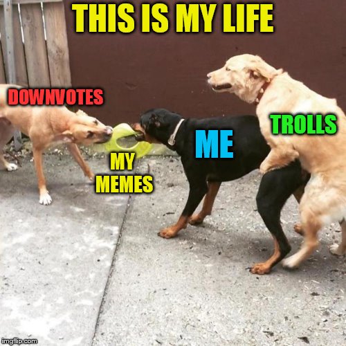 THIS IS MY LIFE TROLLS DOWNVOTES MY MEMES ME | made w/ Imgflip meme maker