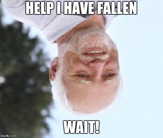 stock image guy | HELP I HAVE FALLEN; WAIT! | image tagged in stock image guy | made w/ Imgflip meme maker