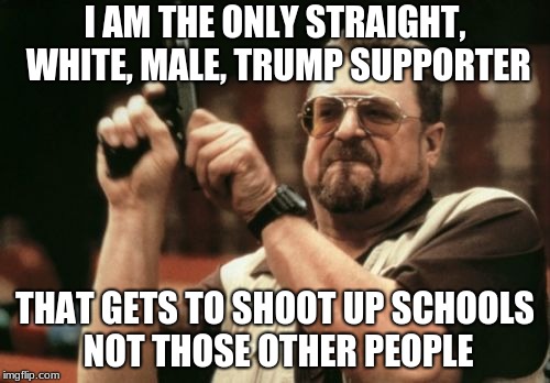 I'm Not Really, Just Go With It.
 | I AM THE ONLY STRAIGHT, WHITE, MALE, TRUMP SUPPORTER; THAT GETS TO SHOOT UP SCHOOLS NOT THOSE OTHER PEOPLE | image tagged in memes,am i the only one around here | made w/ Imgflip meme maker