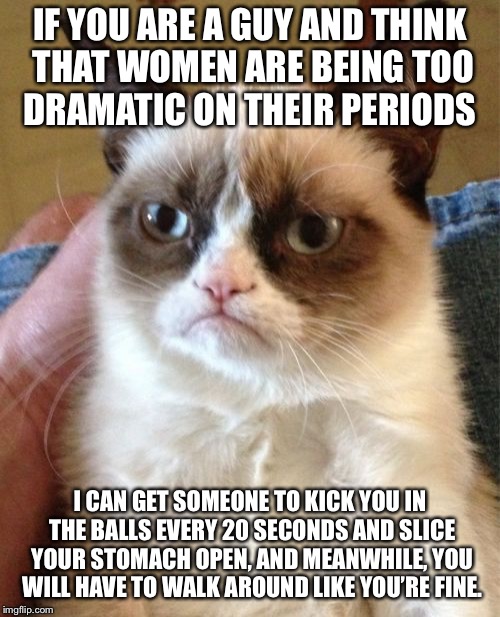Grumpy Cat Meme | IF YOU ARE A GUY AND THINK THAT WOMEN ARE BEING TOO DRAMATIC ON THEIR PERIODS; I CAN GET SOMEONE TO KICK YOU IN THE BALLS EVERY 20 SECONDS AND SLICE YOUR STOMACH OPEN, AND MEANWHILE, YOU WILL HAVE TO WALK AROUND LIKE YOU’RE FINE. | image tagged in memes,grumpy cat,periods | made w/ Imgflip meme maker