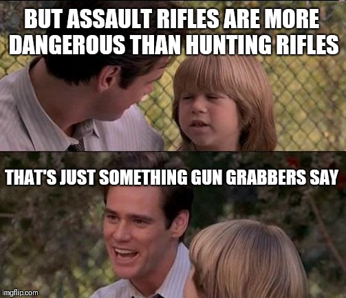That's Just Something X Say | BUT ASSAULT RIFLES ARE MORE DANGEROUS THAN HUNTING RIFLES; THAT'S JUST SOMETHING GUN GRABBERS SAY | image tagged in memes,thats just something x say | made w/ Imgflip meme maker