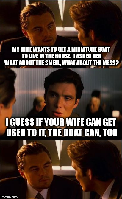 Inception | MY WIFE WANTS TO GET A MINIATURE GOAT TO LIVE IN THE HOUSE.  I ASKED HER WHAT ABOUT THE SMELL, WHAT ABOUT THE MESS? I GUESS IF YOUR WIFE CAN GET USED TO IT, THE GOAT CAN, TOO | image tagged in memes,inception | made w/ Imgflip meme maker