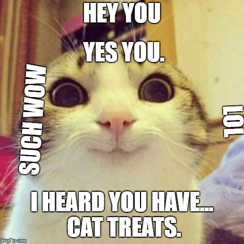 Smiling Cat Meme Imgflip