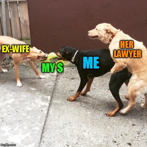 HER LAWYER; EX-WIFE; ME; MY $ | image tagged in this is my life | made w/ Imgflip meme maker