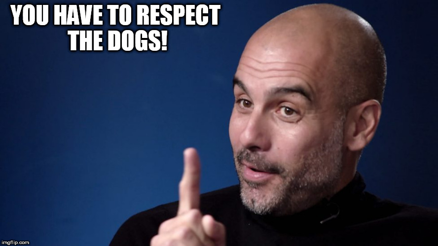 YOU HAVE TO RESPECT THE DOGS! | made w/ Imgflip meme maker