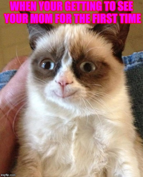Grumpy Cat Happy | WHEN YOUR GETTING TO SEE YOUR MOM FOR THE FIRST TIME | image tagged in memes,grumpy cat happy,grumpy cat | made w/ Imgflip meme maker