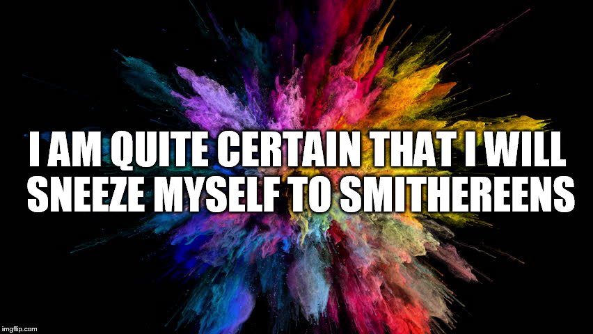 fatal sneeze! | I AM QUITE CERTAIN THAT I WILL SNEEZE MYSELF TO SMITHEREENS | image tagged in sneeze,sneezing to death,cant stop sneezing | made w/ Imgflip meme maker