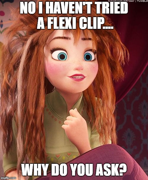 Messy Hair Anna | NO I HAVEN'T TRIED A FLEXI CLIP.... WHY DO YOU ASK? | image tagged in messy hair anna | made w/ Imgflip meme maker