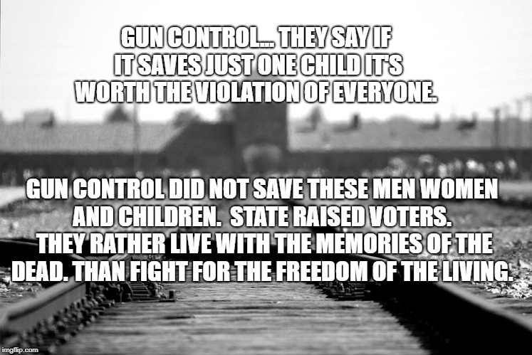 Concentration camp | GUN CONTROL... THEY SAY IF IT SAVES JUST ONE CHILD IT'S WORTH THE VIOLATION OF EVERYONE. GUN CONTROL DID NOT SAVE THESE MEN WOMEN AND CHILDREN.  STATE RAISED VOTERS.  THEY RATHER LIVE WITH THE MEMORIES OF THE DEAD. THAN FIGHT FOR THE FREEDOM OF THE LIVING. | image tagged in concentration camp | made w/ Imgflip meme maker