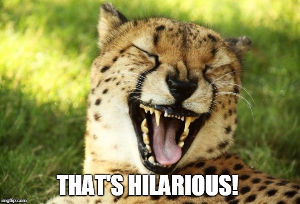 cheetah | THAT'S HILARIOUS! | image tagged in cheetah | made w/ Imgflip meme maker