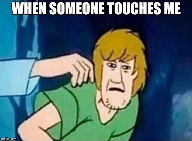 Scooby Doo Shaggy  |  WHEN SOMEONE TOUCHES ME | image tagged in scooby doo shaggy | made w/ Imgflip meme maker