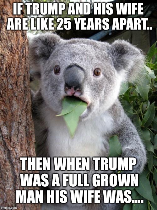 Surprised Koala Meme | IF TRUMP AND HIS WIFE ARE LIKE 25 YEARS APART.. THEN WHEN TRUMP WAS A FULL GROWN MAN HIS WIFE WAS.... | image tagged in memes,surprised koala | made w/ Imgflip meme maker