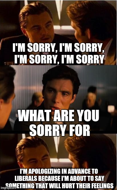 Just say you're sorry to make them happy | I'M SORRY, I'M SORRY, I'M SORRY, I'M SORRY; WHAT ARE YOU SORRY FOR; I'M APOLOGIZING IN ADVANCE TO LIBERALS BECAUSE I'M ABOUT TO SAY SOMETHING THAT WILL HURT THEIR FEELINGS | image tagged in memes,inception | made w/ Imgflip meme maker