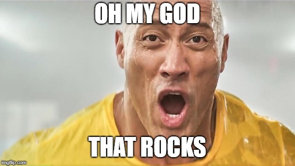 wet rock | OH MY GOD THAT ROCKS | image tagged in wet rock | made w/ Imgflip meme maker