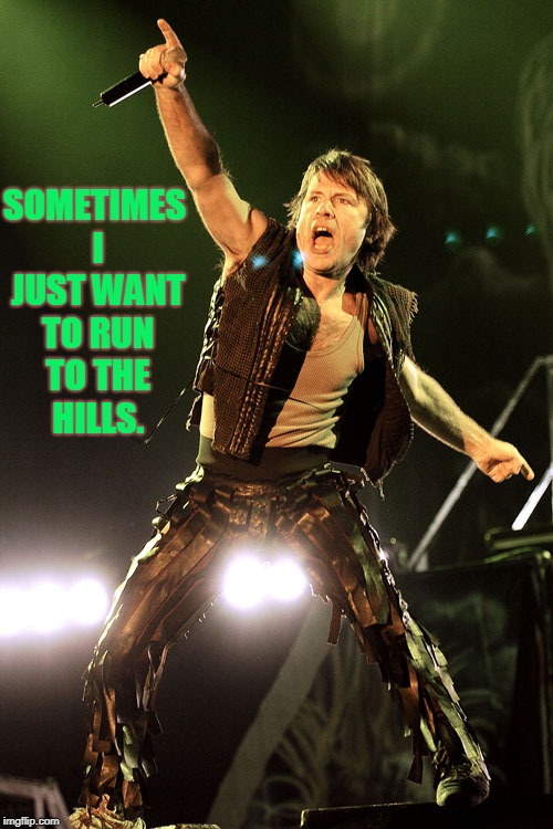 Bruce Dickinson | SOMETIMES I JUST WANT TO RUN TO THE HILLS. | image tagged in bruce dickinson | made w/ Imgflip meme maker