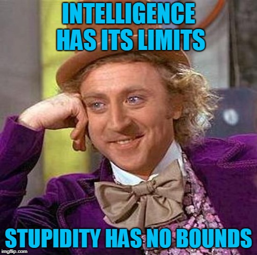 Creepy Condescending Wonka | INTELLIGENCE HAS ITS LIMITS; STUPIDITY HAS NO BOUNDS | image tagged in memes,creepy condescending wonka | made w/ Imgflip meme maker