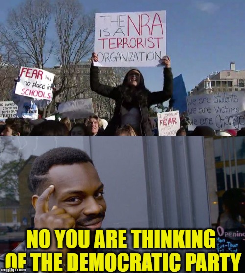 NO YOU ARE THINKING OF THE DEMOCRATIC PARTY | image tagged in memes,democratic party,democrats,nra,terrorists,libtards | made w/ Imgflip meme maker