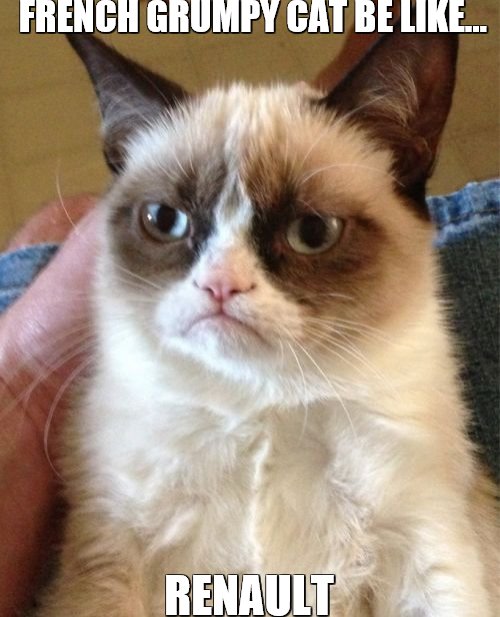 Grumpy Cat Meme | FRENCH GRUMPY CAT BE LIKE... RENAULT | image tagged in memes,grumpy cat | made w/ Imgflip meme maker