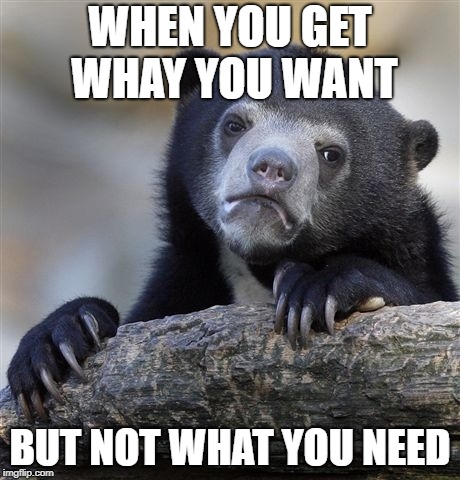 Confession Bear Meme | WHEN YOU GET WHAY YOU WANT BUT NOT WHAT YOU NEED | image tagged in memes,confession bear | made w/ Imgflip meme maker