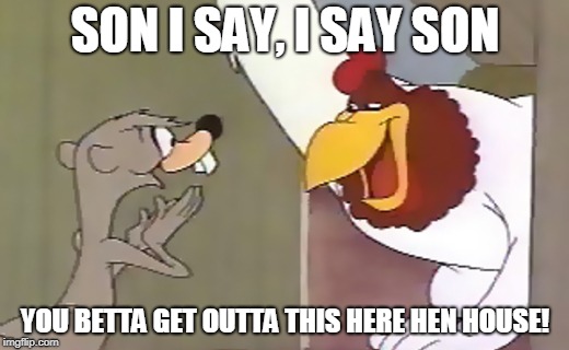 SON I SAY, I SAY SON YOU BETTA GET OUTTA THIS HERE HEN HOUSE! | image tagged in weasel foghorn leghorn | made w/ Imgflip meme maker