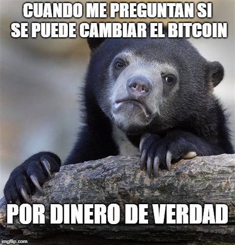Confession Bear Meme | CUANDO ME PREGUNTAN SI SE PUEDE CAMBIAR EL BITCOIN; POR DINERO DE VERDAD | image tagged in memes,confession bear | made w/ Imgflip meme maker