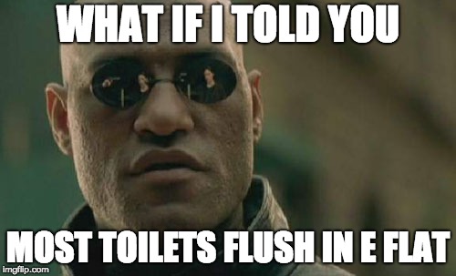 Matrix Morpheus | WHAT IF I TOLD YOU; MOST TOILETS FLUSH IN E FLAT | image tagged in memes,matrix morpheus | made w/ Imgflip meme maker