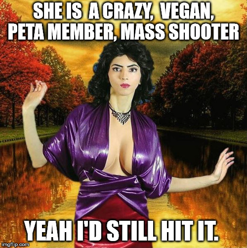 Nasim  | SHE IS  A CRAZY,  VEGAN, PETA MEMBER, MASS SHOOTER; YEAH I'D STILL HIT IT. | image tagged in boobs | made w/ Imgflip meme maker