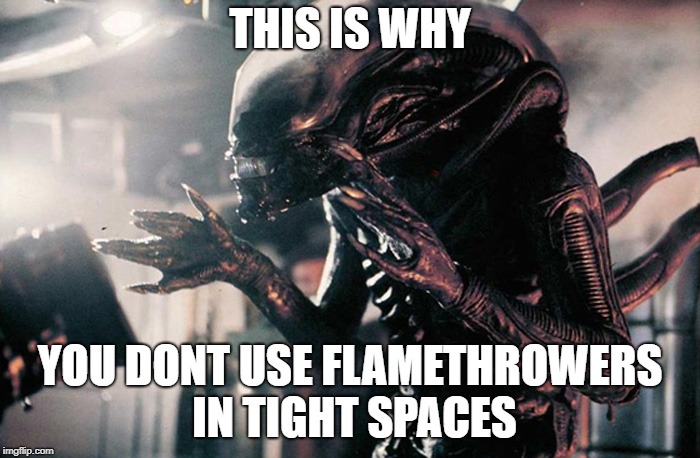 xenomorph hands | THIS IS WHY; YOU DONT USE FLAMETHROWERS IN TIGHT SPACES | image tagged in xenomorph hands | made w/ Imgflip meme maker