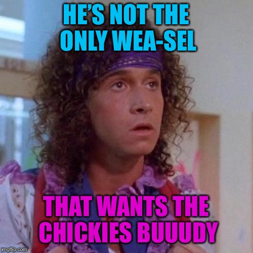 HE’S NOT THE ONLY WEA-SEL THAT WANTS THE CHICKIES BUUUDY | made w/ Imgflip meme maker