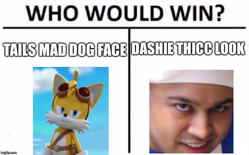 Who Would Win? Meme | DASHIE THICC LOOK; TAILS MAD DOG FACE | image tagged in memes,who would win | made w/ Imgflip meme maker