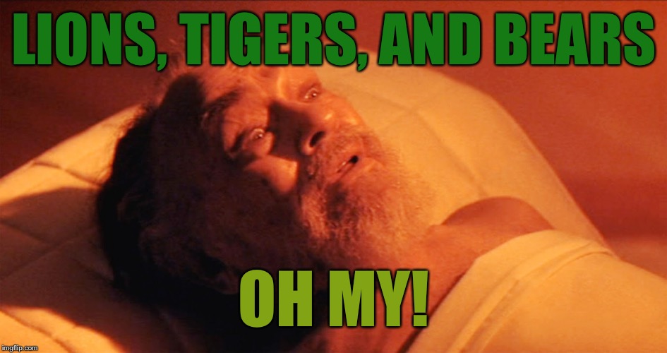 LIONS, TIGERS, AND BEARS OH MY! | made w/ Imgflip meme maker