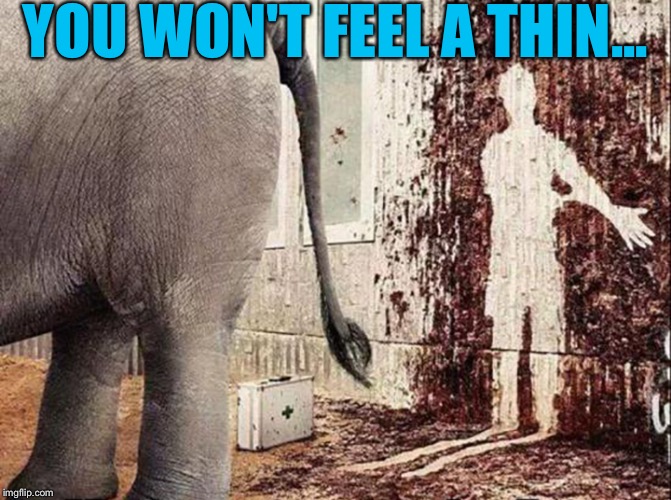 When you think your job is bad. | YOU WON'T FEEL A THIN... | image tagged in memes,funny,elephant,doctor | made w/ Imgflip meme maker