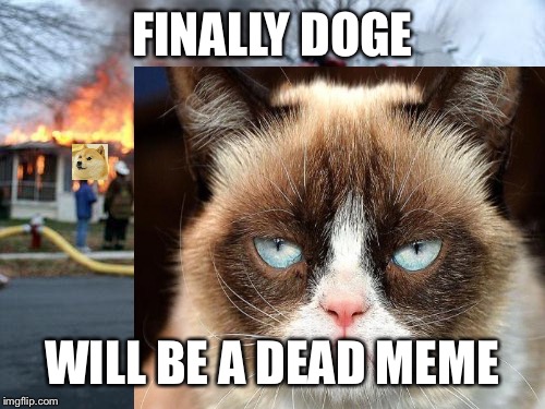 FINALLY DOGE; WILL BE A DEAD MEME | image tagged in dead | made w/ Imgflip meme maker