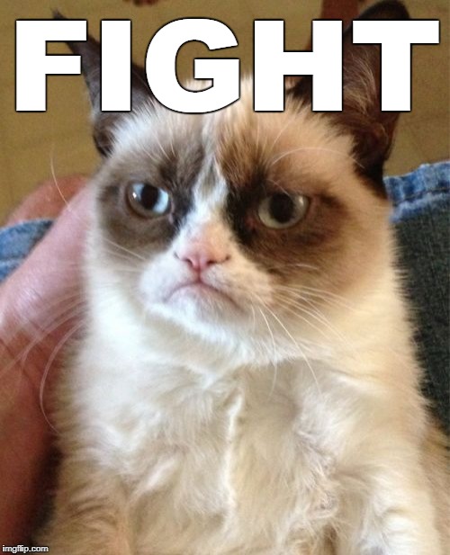 Grumpy Cat Meme | FIGHT | image tagged in memes,grumpy cat | made w/ Imgflip meme maker