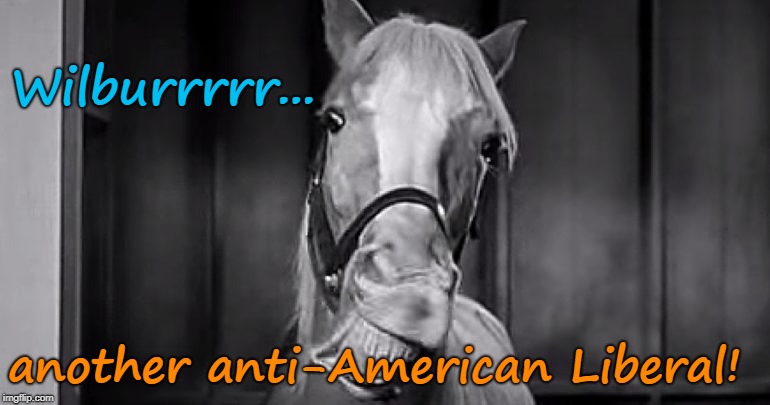 Mr Ed recognized another anti-American liberal | Wilburrrrr... another anti-American Liberal! | image tagged in mr ed,liberal,anti-american | made w/ Imgflip meme maker