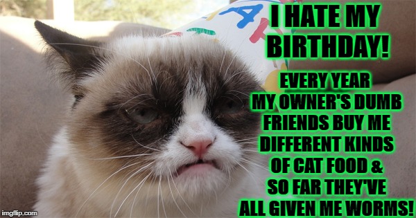 I HATE MY BIRTHDAY! EVERY YEAR MY OWNER'S DUMB FRIENDS BUY ME DIFFERENT KINDS OF CAT FOOD & SO FAR THEY'VE ALL GIVEN ME WORMS! | image tagged in birthday grump | made w/ Imgflip meme maker