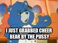 I JUST GRABBED CHEER BEAR BY THE PUSSY | made w/ Imgflip meme maker