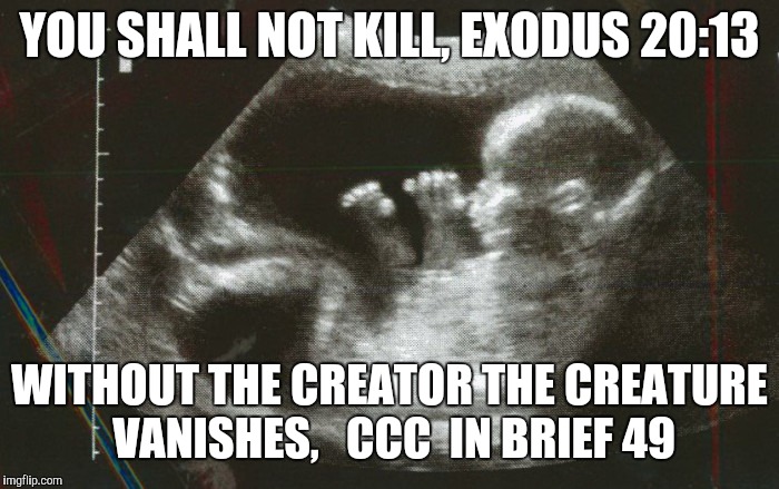 I deserve to live | YOU SHALL NOT KILL, EXODUS 20:13; WITHOUT THE CREATOR THE CREATURE VANISHES,   CCC  IN BRIEF 49 | image tagged in catholic,christianity,bible,abortion,life | made w/ Imgflip meme maker