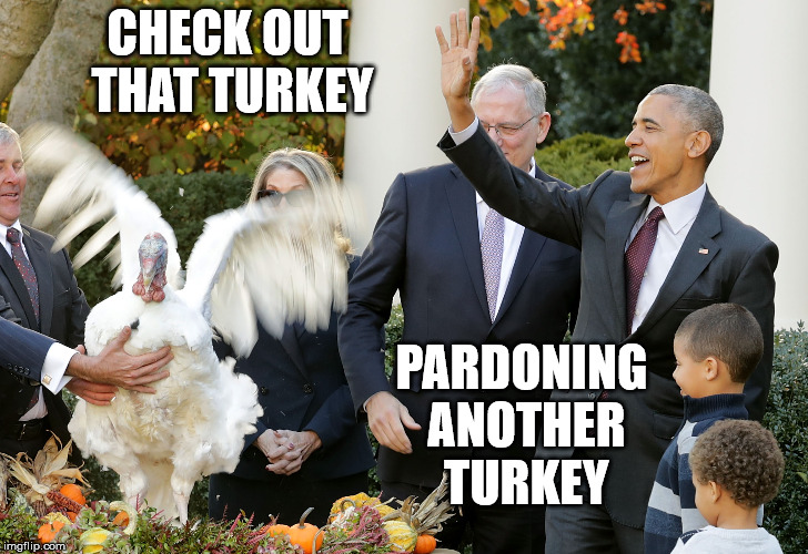 CHECK OUT THAT TURKEY PARDONING ANOTHER TURKEY | made w/ Imgflip meme maker