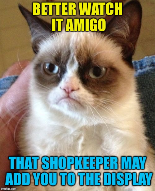 Grumpy Cat Meme | BETTER WATCH IT AMIGO THAT SHOPKEEPER MAY ADD YOU TO THE DISPLAY | image tagged in memes,grumpy cat | made w/ Imgflip meme maker