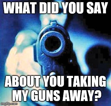 gun in face | WHAT DID YOU SAY; ABOUT YOU TAKING MY GUNS AWAY? | image tagged in gun in face | made w/ Imgflip meme maker
