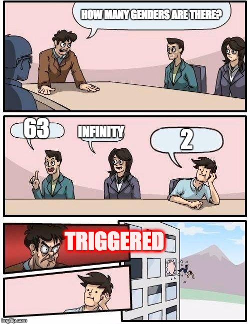 Boardroom Meeting Suggestion Meme | HOW MANY GENDERS ARE THERE? 63; INFINITY; 2; TRIGGERED | image tagged in memes,boardroom meeting suggestion | made w/ Imgflip meme maker