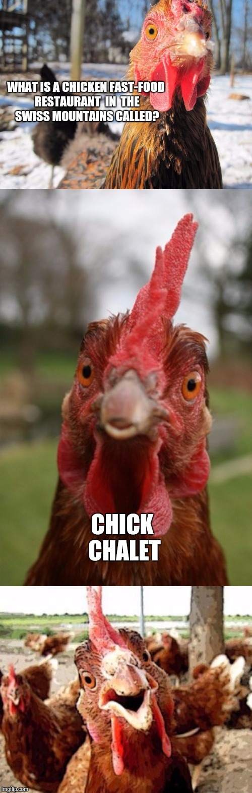 bad pun chicken | WHAT IS A CHICKEN FAST-FOOD RESTAURANT  IN 
THE SWISS MOUNTAINS CALLED? CHICK CHALET | image tagged in bad pun chicken,chicken week,joke | made w/ Imgflip meme maker