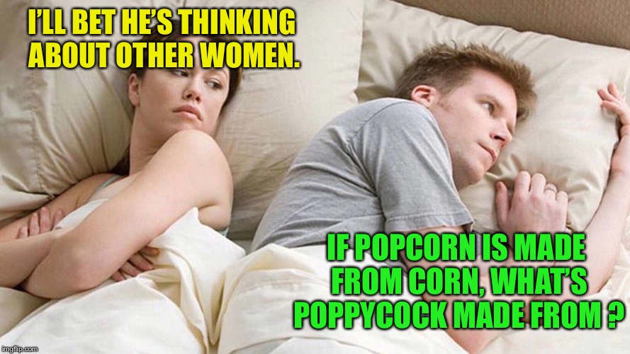 I Bet He's Thinking About Other Women | I’LL BET HE’S THINKING ABOUT OTHER WOMEN. IF POPCORN IS MADE FROM CORN, WHAT’S POPPYCOCK MADE FROM ? | image tagged in i bet he's thinking about other women,memes,poppycock | made w/ Imgflip meme maker