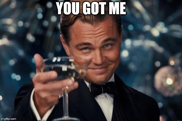 Leonardo Dicaprio Cheers Meme | YOU GOT ME | image tagged in memes,leonardo dicaprio cheers | made w/ Imgflip meme maker